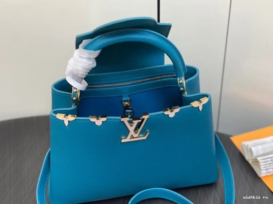 WIS VUITTON CAPUCINES MM LOUIS 0813
